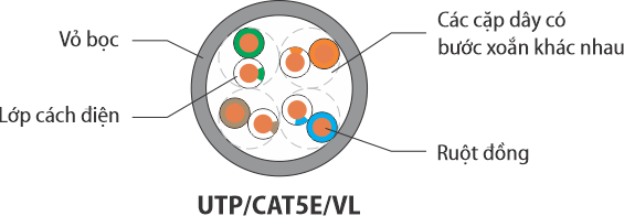 Dây Mạng UTP/CAT5E/VL - 24AWG
