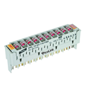 Thiết Bị Phiến Chống Sét Mạng LAN 10 Đôi Picolink PL-KH24