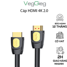Cáp HDMI 10m V_H208 VEGGIEG 4K